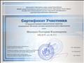 Сертификат участника II Городской ярмарки педагогических проектов, посвященной 100-летию системы дополнительного образования, г. Новосибирск, 7 декабря 2018 г.  